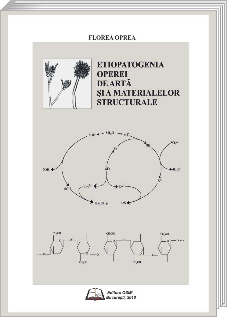 ETIOPATOGENIA OPEREI DE ARTĂ ŞI A MATERIALELOR STRUCTURALE