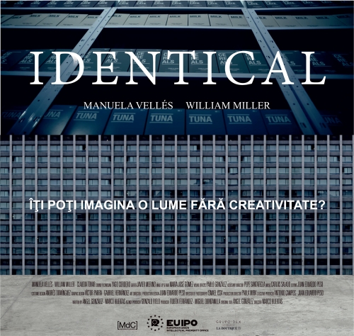 IPDentical