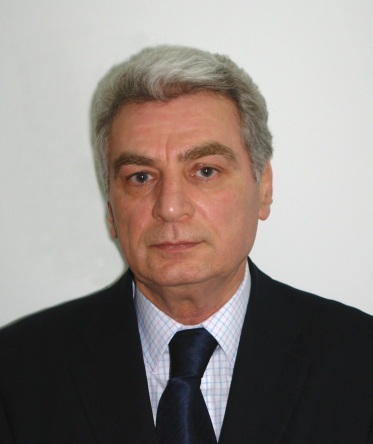 Raport anual 2008